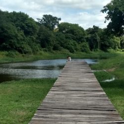 Negocio Gral. Vedia