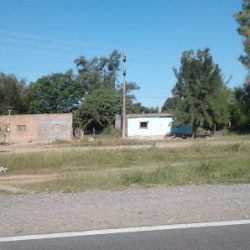Negocio Graneros