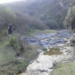 Negocio Los Varela