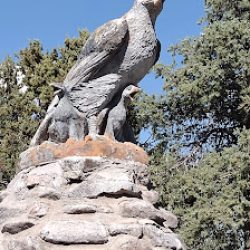 Negocio Piedra Del Aguila