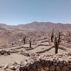 Negocio Ruinas De Tastil