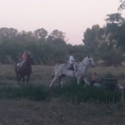 Negocio S.d. Hierros Artesanales