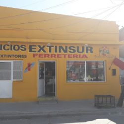 Negocio Servicios Extinsur