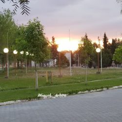 Negocio Telsen